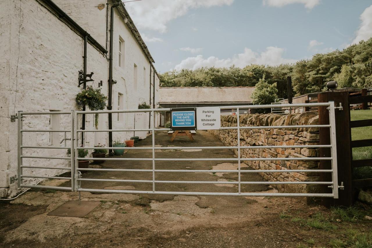 White Side Cottage Haltwhistle Eksteriør billede